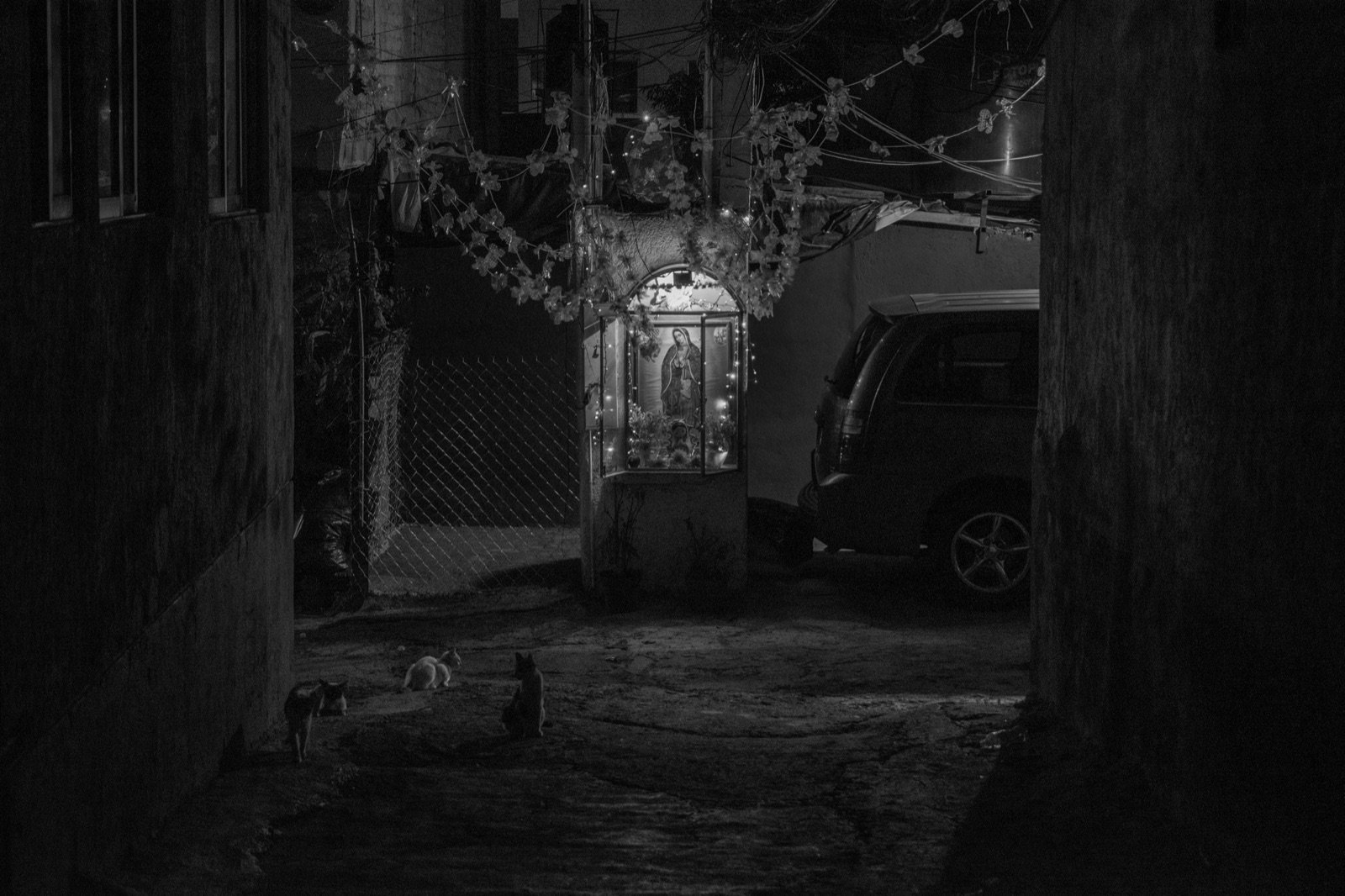 Escena nocturna