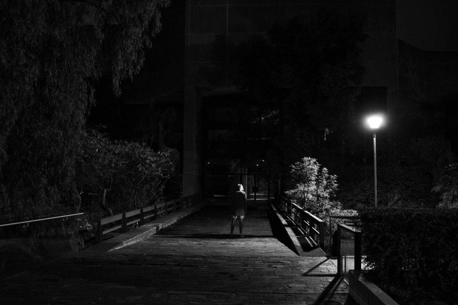 Escena nocturna